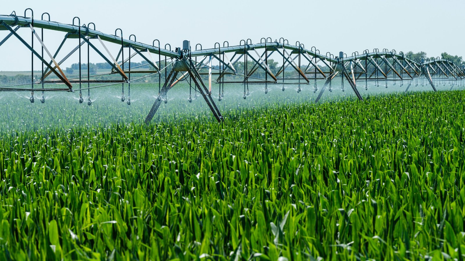 a sprinkler spraying water on a green field