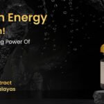 Himalayan Shilajit Resin
